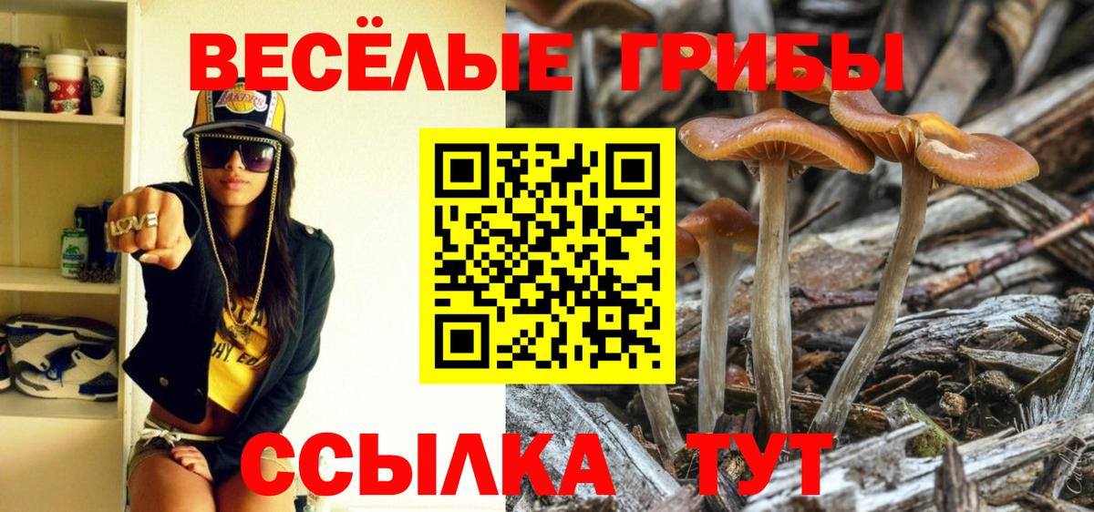 купить   Галлюциногенные грибы Cubensis  Вход с VPN  Ирбит  Псилоцибиновые грибы Psilocybine cubensis 