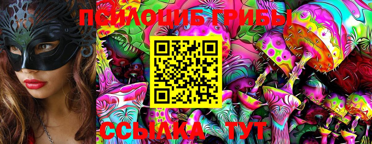 Галлюциногенные грибы Psilocybine cubensis Ирбит